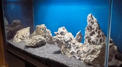 Run aquarium: jak zrobić wszystko w porządku